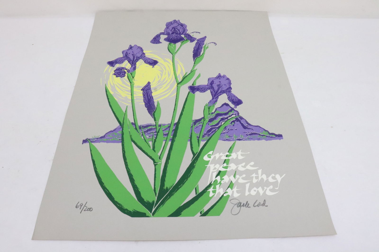 Etching in color by Jack Lord: Etching in color by Jack Lord, ed 69/200, provenance: Estate of Jack and Marie Lord, 26"x20"