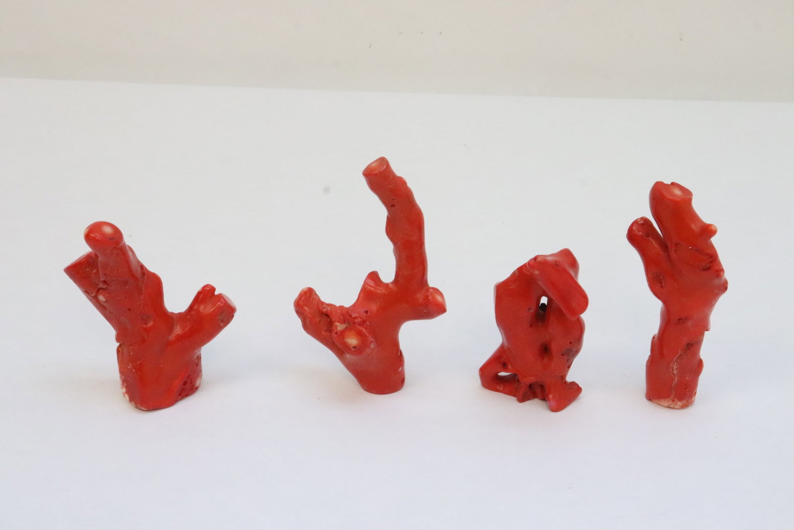 4 coral like fragments: 4 coral like fragments, 3.25"H - 4.26"H