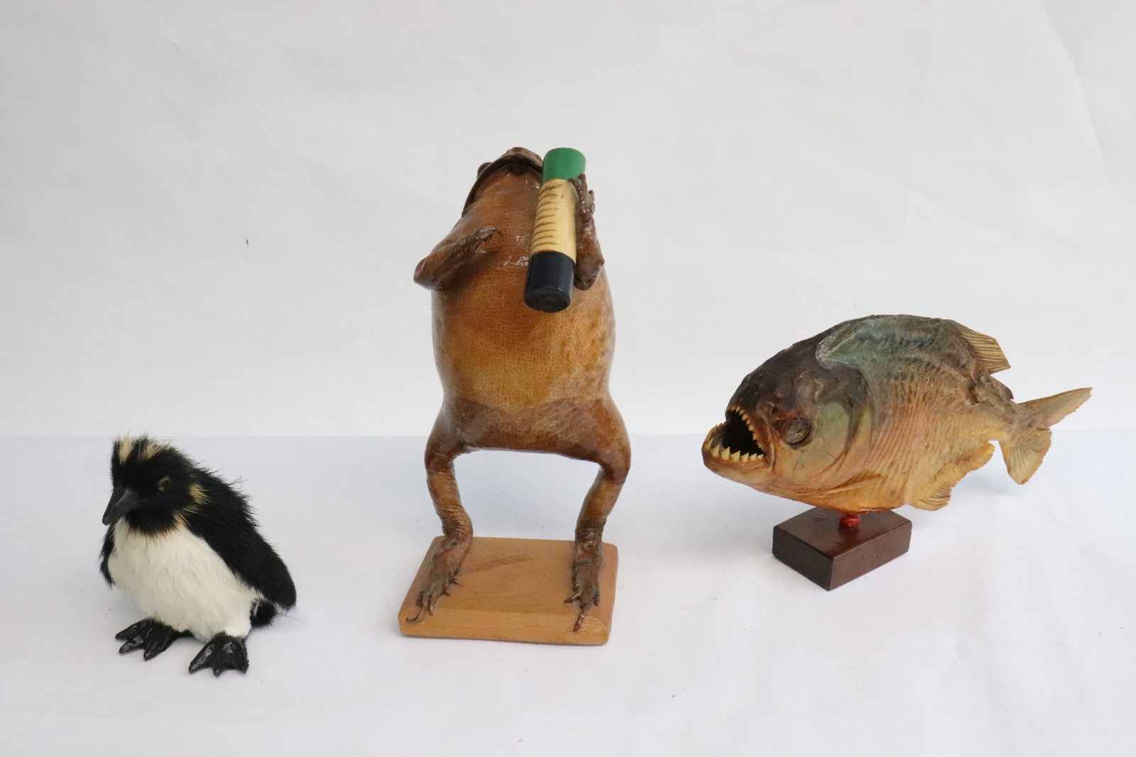a taxidermy piranha fish, a small bird, and a frog: 3 pieces; a taxidermy piranha fish (8.3"L), a small bird (4"H), and a frog (8"H)