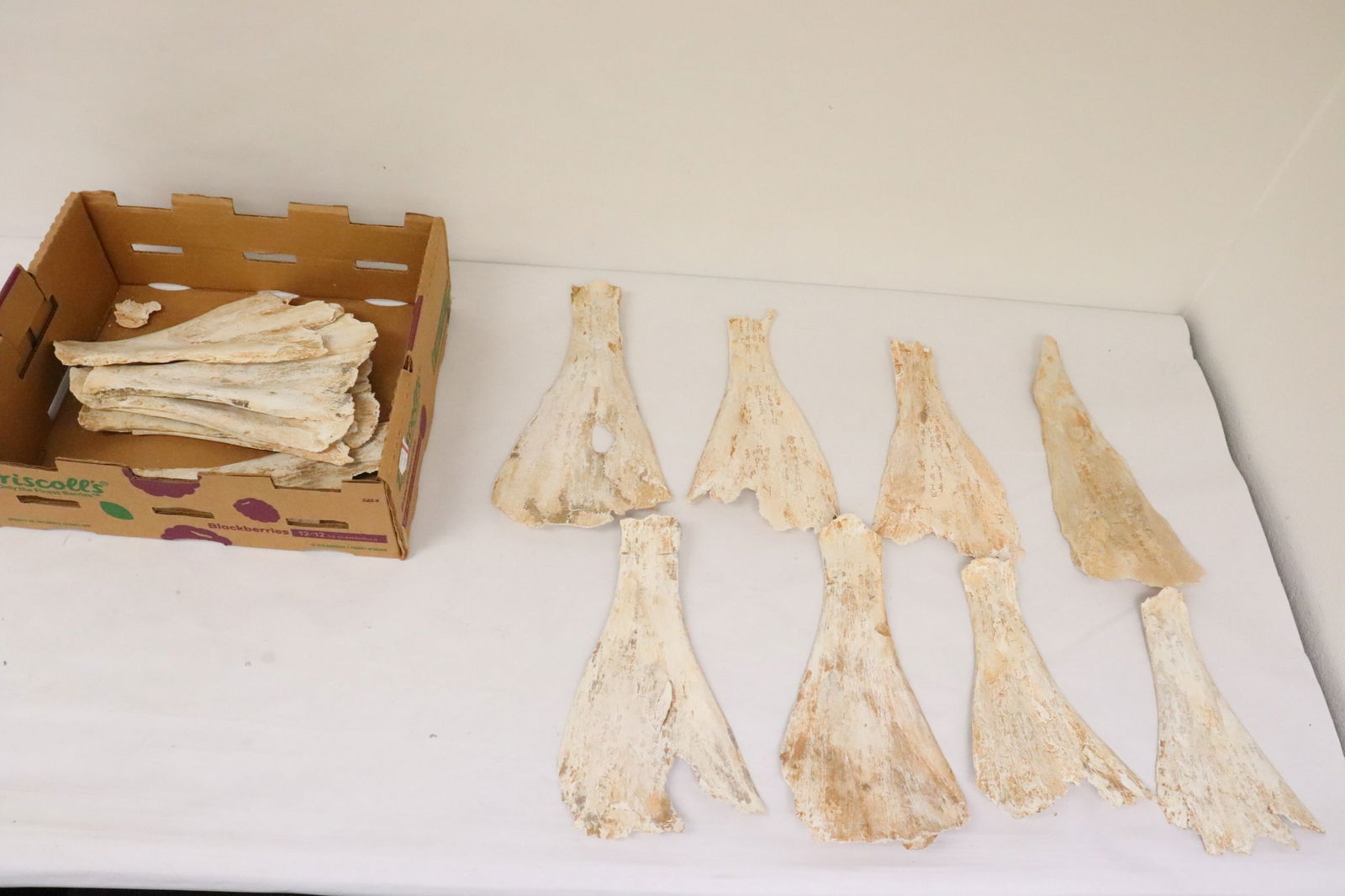 Lot of bone plaques with calligraphy: Lot of bone plaques with calligraphy