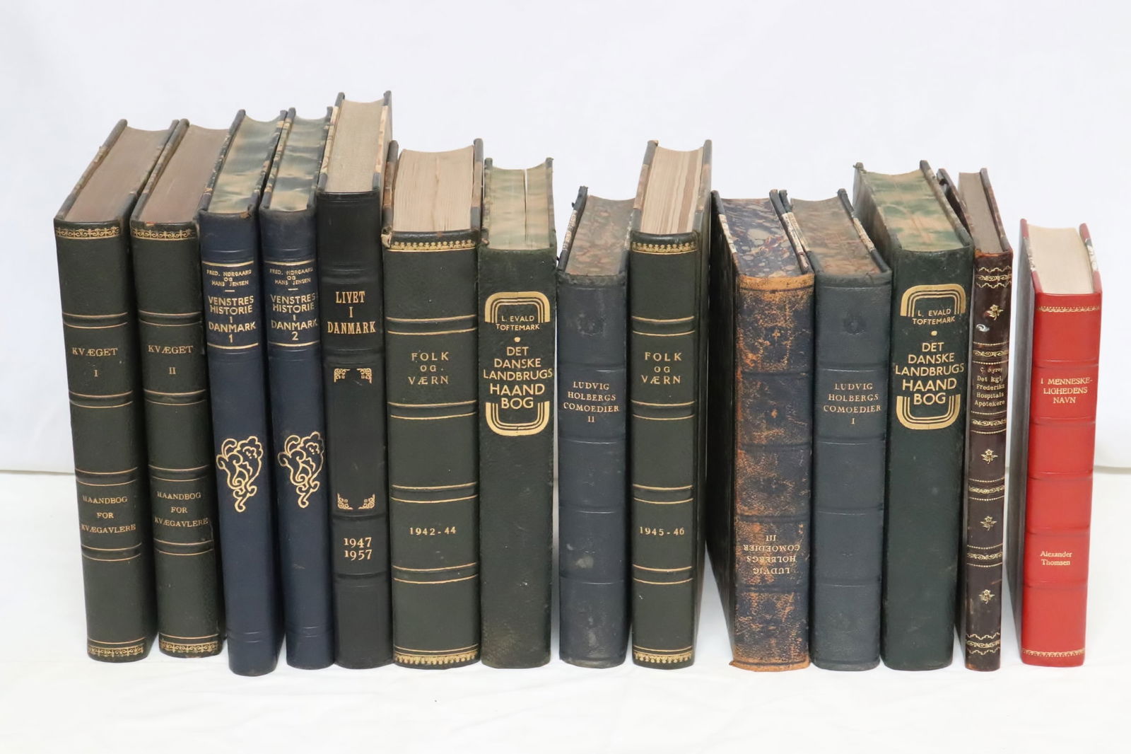 14 leather bound books (1 of 15)