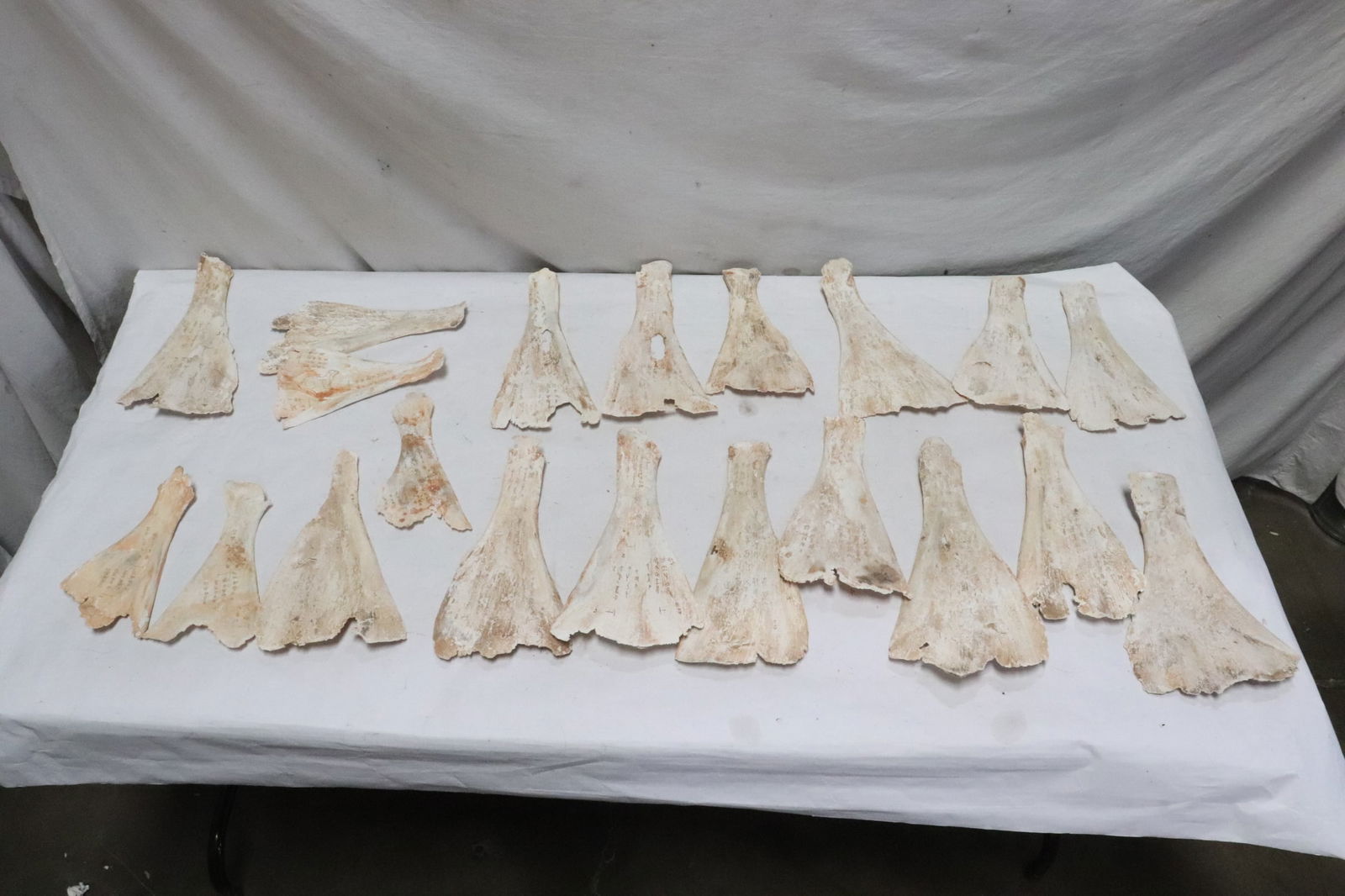 Lot of bone plaques with calligraphy: Lot of bone plaques with calligraphy, ~11.7"L ea