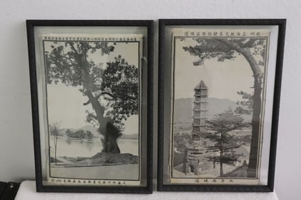 2 vintage Chinese embroidery style panels