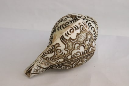 Shell conch