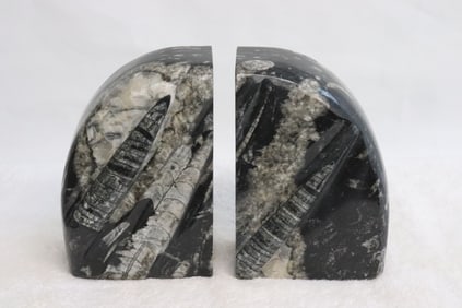 Pair fossil stone bookends