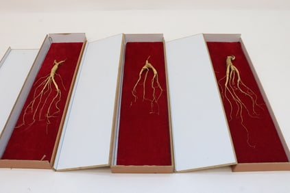 3 Chinese ginseng in original sealed box