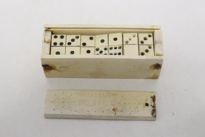 Bone carved domino set