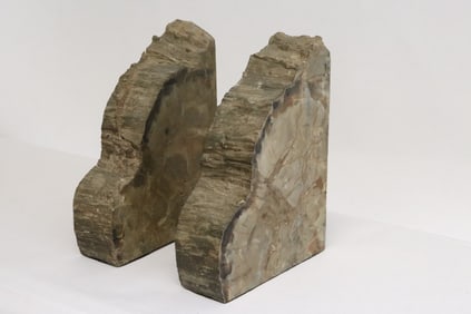Pair polished petrified wood bookends
