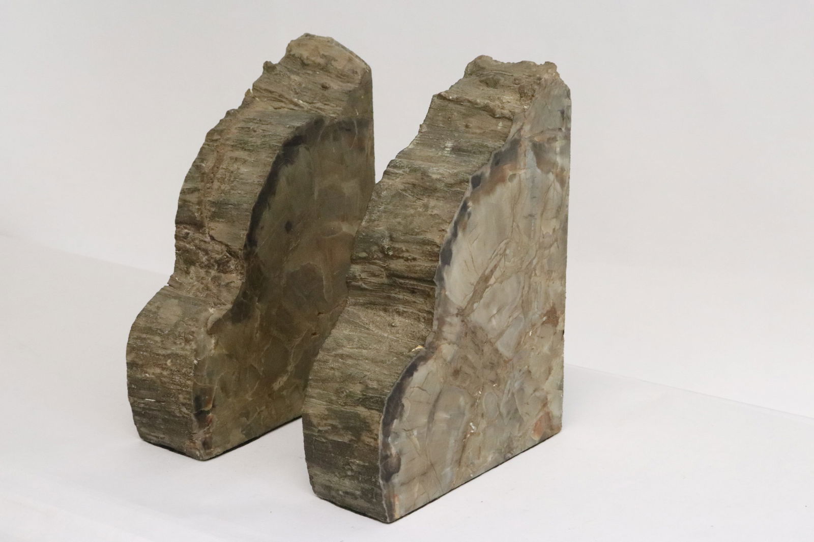 Pair polished petrified wood bookends (1 of 9)