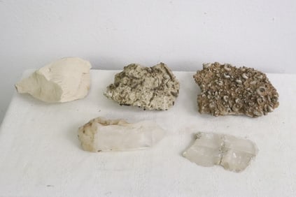 Fossil stone embedded with fossils, & natural crystals
