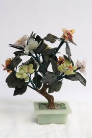 Jade tree with stone planter