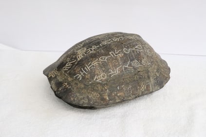 tortoise shell with inlaid calligraphy