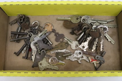 Lot of misc. keys, skeleton keys