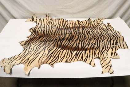 A possible zebra skin rug