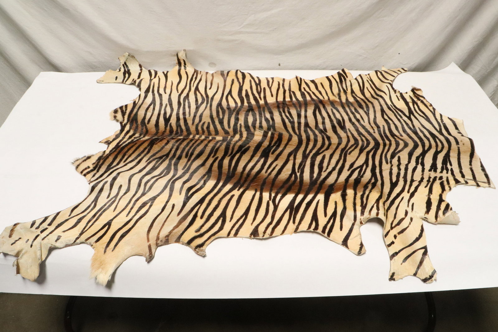 A possible zebra skin rug: A possible zebra skin rug, 48.7"x39"