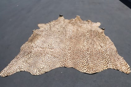 A very large animal skin rug, possible giraffe