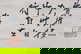 item-206106085=5