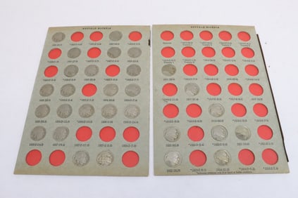 2 panels Indian head nickels, incomplete