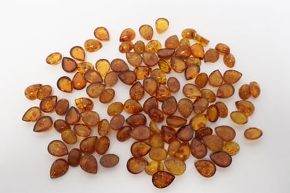 Lot of amber cabochon