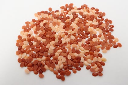 Coral, approx. 245ct