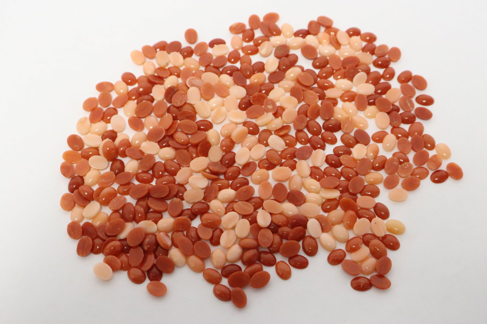Coral, approx. 245ct: Coral, approx. 245ct
