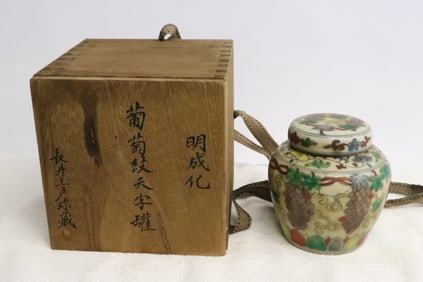 Fine wucai porcelain covered tea caddy