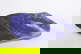 item-208616004=2