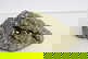 item-208616015=2