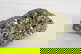 item-208616015=7