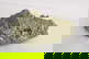 item-208616015=8