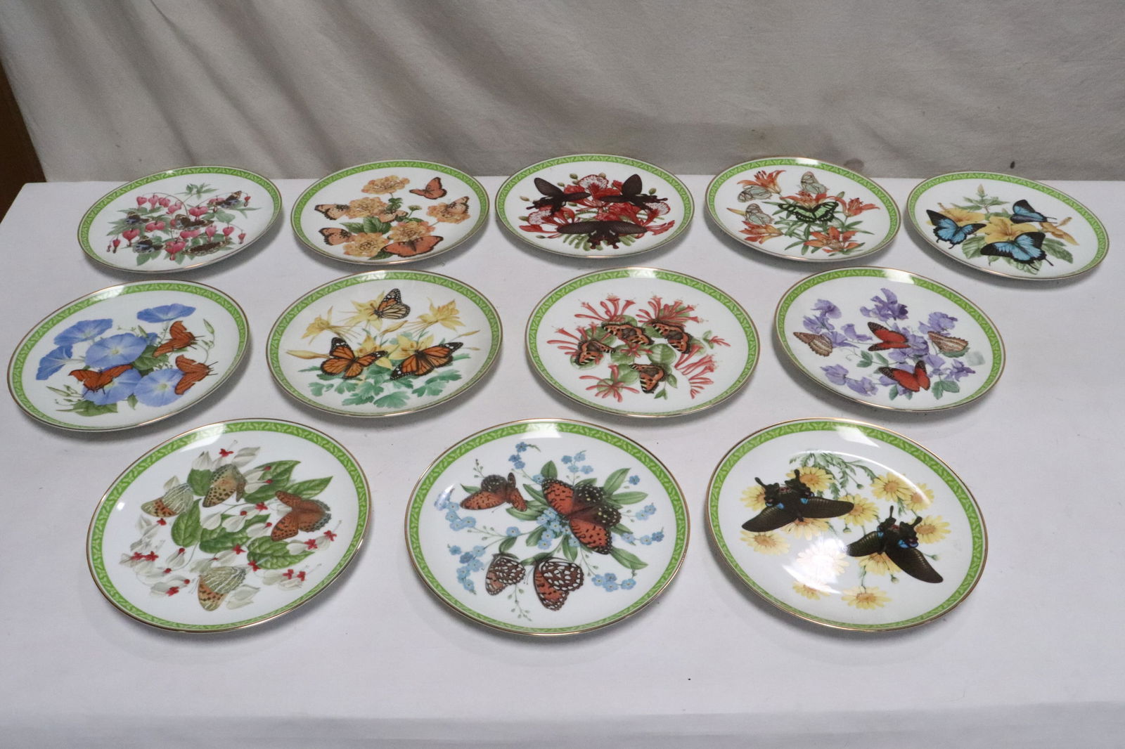 12 John Wilkinson "butterfly of the world" porcelain plates: 12 John Wilkinson "butterfly of the world" porcelain plates, 1"x9.3"dia ea