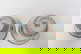 item-209329979=8