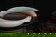 item-209330006=8