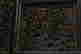 item-16406056=10