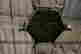 item-16406056=2