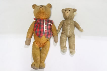 2 early 20th century joint limb mohair teddy bears