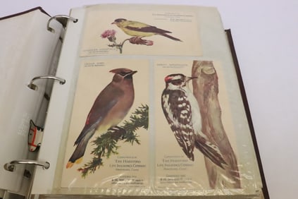 A vintage postcard album