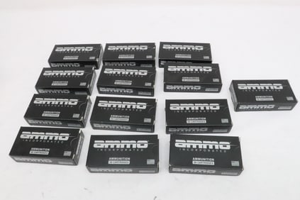 Ammo Incorporated ammunition, 380 auto, 100 gr.