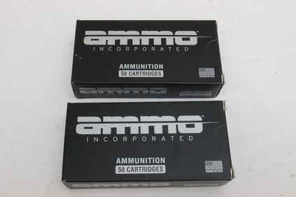 Ammo Ammunition, 380 auto, 100 gr., TMC