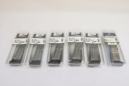One Smith Wesson 9mm 10RD magazine, and 5 M&P 9mm 8 RD magazine