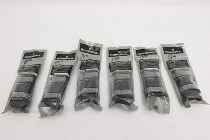 Six 9x19mm 10RD magazines