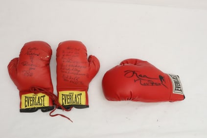 3 signed boxing gloves
