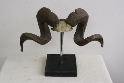 A table top decoration in the form of buffalo horns