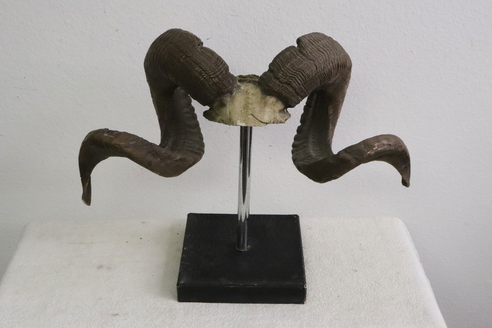 A table top decoration in the form of buffalo horns (1 of 8)