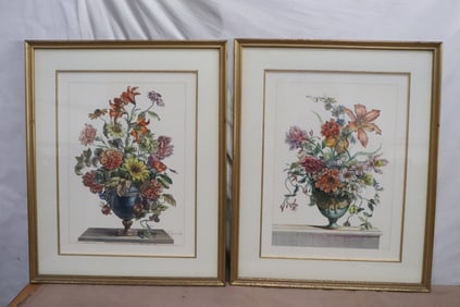 Pair botanic etchings