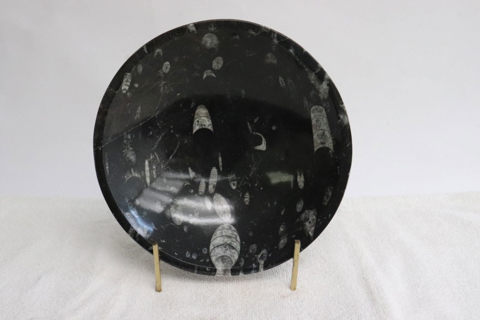 Polished bowl with fossils: Polished bowl with fossils, 2.15"x7.7"dia