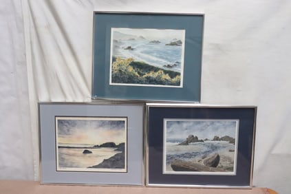 3 framed watercolors by June Robathan