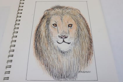 ~ 100 pencil/ color pencil drawings by Robert Robathan