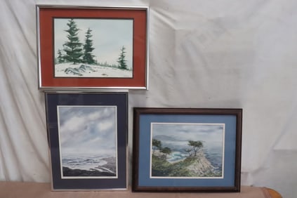 3 framed watercolor paintings by June Robathan