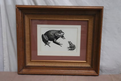 Framed print "2 frogs" by Robert Robathan